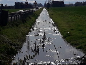 fossi pieni 1